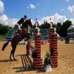 image of horse_jumping #28