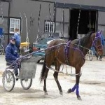 image of harness_racing #11