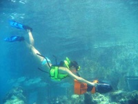 image of snorkel