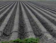 image of texture
