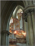 image of organ #8