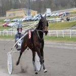 image of harness_racing #27