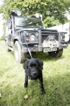 image of jeep_car