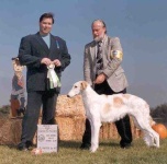 image of borzoi