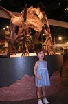 image of triceratops