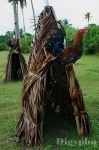 image of cock
