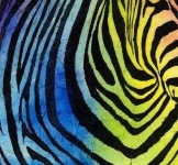 image of texture
