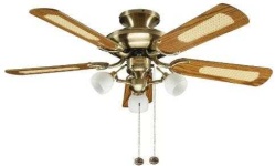 image of ceiling_fan