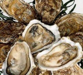 image of oyster #29