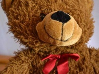 image of teddy_bear