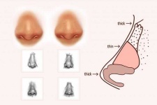 image of human_body_parts