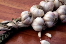 image of garlic #25