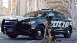 image of police_car