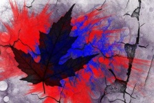 image of texture