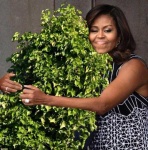 image of bush