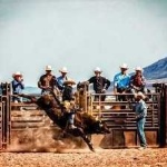 image of bull_riding #28