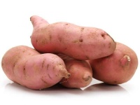 image of sweetpotato #16