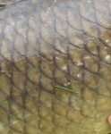 image of texture