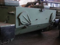 image of amphibian