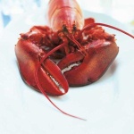 image of lobster