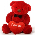 image of teddy_bear