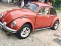 vw1300_car