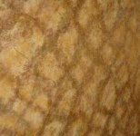 image of texture