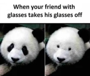 image of animal