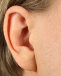 image of ear #6