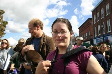 image of english_springer