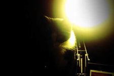 image of spotlight