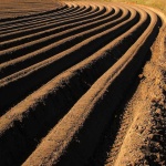 image of texture