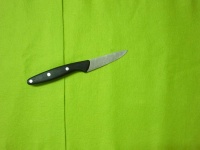 image of kitchen_knife #22