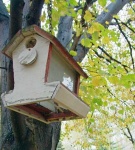 image of birdhouse