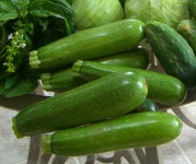 image of zucchini #5