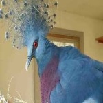 image of bird