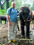 image of indian_elephant