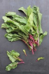 image of beetroot #12