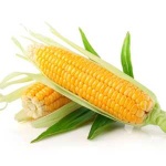 image of sweetcorn #18