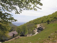 image of alp