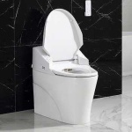 image of toilet