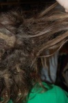 image of texture