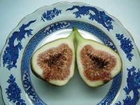 image of fig