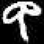 image of amharic