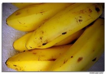 image of banana #11