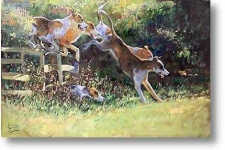 image of english_foxhound