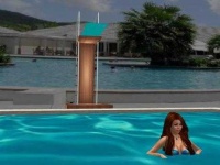 image of diving_board