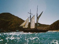 image of pirate_ship #712