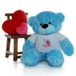image of teddy_bear