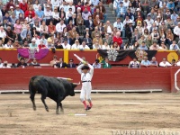 image of animal